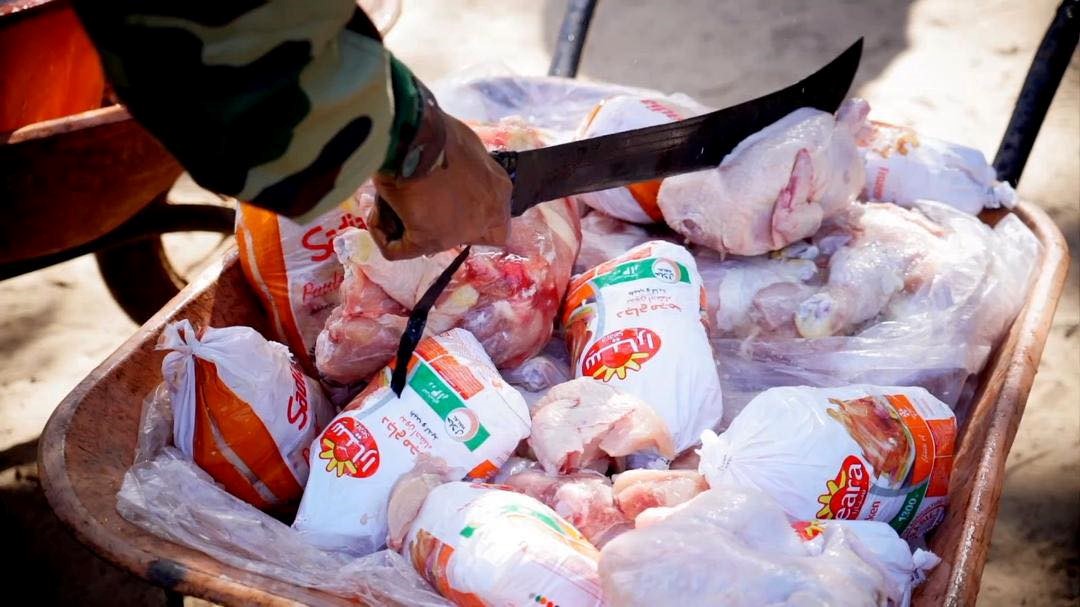 La saisie de cuisses de poulet de contrebande devient un sujet très important dans la lutte contre les trafics illicites au Sénégal