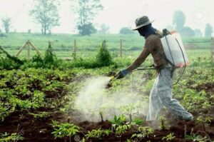 Études scientifiques à l’appui, agriculteurs et riverains paient un lourd tribut aux pesticides chimiques, devenus une crise sanitaire majeure.