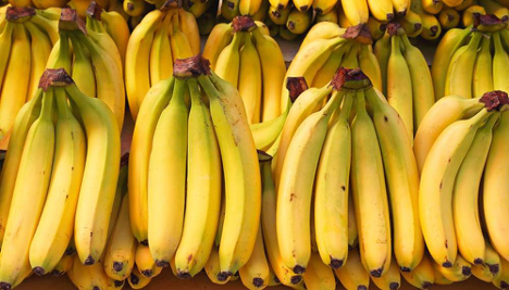 Dans les dernières estimations de la FAO, publiées le 28 janvier dans son rapport annuel sur le marché mondial de la banane, l’Afrique a enregistré une progression notable de ses exportations. Si la Côte d’Ivoire et le Cameroun dominent toujours le secteur, le Ghana s'est distingué par la plus forte croissance annuelle, confirmant son ascension dans la filière.