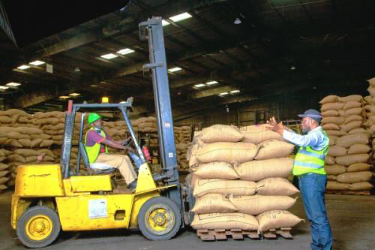 La Banque des États de l’Afrique centrale (BEAC) a révélé que les prix des produits agricoles exportés par les pays de la Communauté économique et monétaire de l’Afrique centrale (CEMAC) ont chuté de 14,5 % au quatrième trimestre 2025 en Afrique centrale. Cette baisse s’explique principalement par le recul des cours mondiaux du cacao, dans un contexte international défavorable sur les marchés des matières premières.