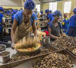 Alors que la transformation locale reste marginale au Nigeria, le négociant singapourien Robust International projette de construire une unité industrielle de transformation de noix de cajou dans l’État d’Ogun. Cet investissement d'envergure vise à réduire le fossé entre la production brute et la valorisation locale.