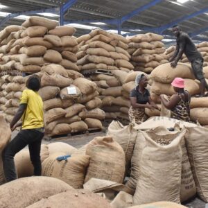 La Côte d’Ivoire investit 50 milliards FCFA dans la construction de 80 entrepôts agricoles afin de réduire les pertes post-récolte, améliorer le stockage et renforcer la commercialisation des produits.