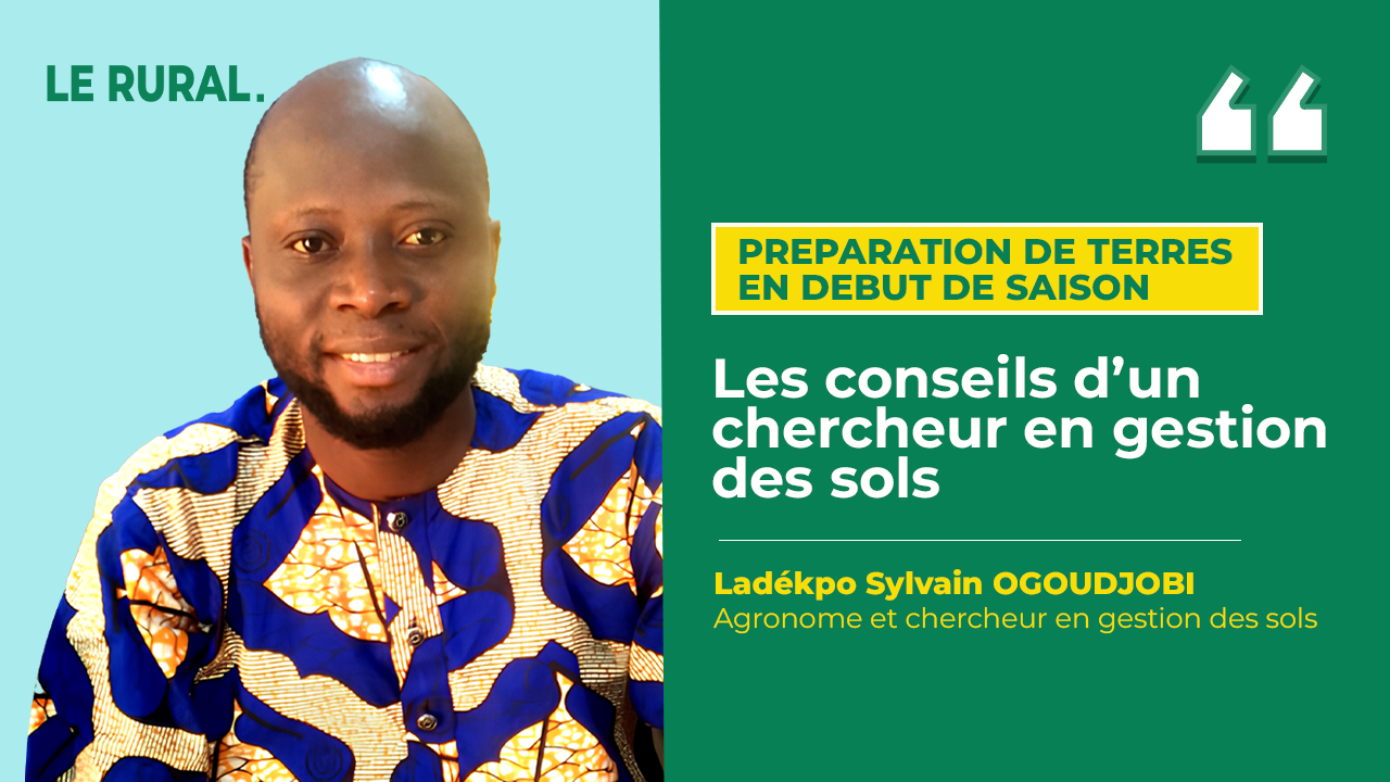 Dans cet entretien, OGOUDJOBI Ladékpo Sylvain, agronome et chercheur en gestion des sols, explique pourquoi la préparation du sol est essentielle, comment améliorer sa fertilité et quelles pratiques adopter pour protéger durablement cette ressource vitale pour l’agriculture.