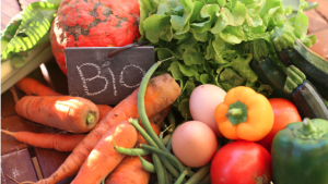 La FeNAB a lancé, ce mardi 17 février, ses activités au cours d’une cérémonie solennelle. L’initiative vise à soutenir les producteurs et à promouvoir une agriculture biologique durable au service du développement et du bien-être des populations.