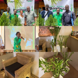 L’Acropole Hotel de Cotonou a servi de cadre, ce mardi 25 février 2026, à la toute première édition du World Bamboo Festival, un rendez-vous inédit dédié à la promotion du bambou comme levier écologique, économique et créatif au Bénin.