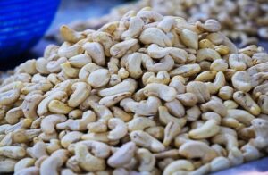 La campagne de commercialisation des noix brutes de cajou au titre de la période 2025-2026 est officiellement lancée. À travers un communiqué conjoint signé par le ministre de l’Agriculture, de l’Élevage et de la Pêche, Gaston Cossi Dossouhoui, et la ministre de l’Industrie et du Commerce, Alimatou Shadiya Assouman, le gouvernement a fixé les règles devant encadrer les transactions durant toute la campagne.