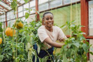 Le monde rural est indispensable pour l'économie nationale mais les écarts, les inégalités de revenus entre exploitants agricoles et jeunes actifs ne cessent de se creuser. Ces jeunes font face à des inégalités persistantes qui freinent le développement équitable des communautés rurales.