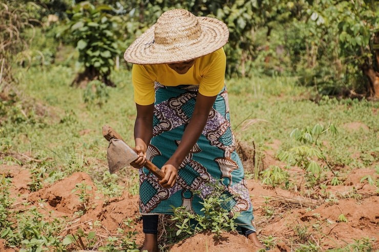 Malgré des avancées légales en matière d’égalité d’accès à la terre, les femmes rurales continuent de faire face à de nombreux obstacles