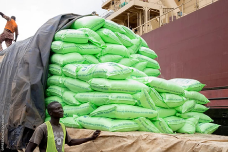 Dans le cadre de la mise à jour de sa stratégie de distribution des intrants agricoles, la Société pour le Développement du Coton encadre la commercialisation des engrais destinés aux cultures vivrières et de diversification pour sécuriser la campagne agricole.