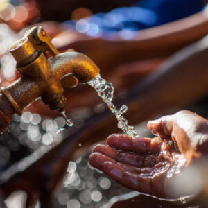 Un usage plus rationnel de l’eau en agriculture pourrait transformer en profondeur les systèmes alimentaires mondiaux. C’est la principale conclusion d’un nouveau rapport publié ce jeudi 19 mars 2026 par le Groupe de la Banque mondiale, qui met en lumière le rôle stratégique de l’eau dans la sécurité alimentaire et la création d’emplois.