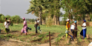 Dans les coopératives rurales, sur les marchés et dans les métiers de l’artisanat, des milliers de femmes dirigent, organisent et nourrissent leurs communautés. Leur leadership, fondé sur l’action concrète, reste pourtant invisible face au modèle urbain et académique souvent célébré.