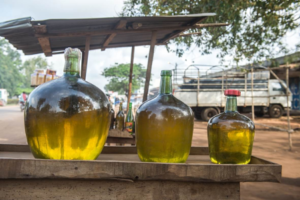 Au Bénin, la hausse du prix de l'essence frelatée ne cesse de faire réagir. Derrière les chiffres, ce sont des réalités bien concrètes qui se dessinent dans les champs, sur les routes et dans les marchés. De l’agriculteur au consommateur final, chacun subit les effets d’un phénomène aux causes multiples et aux conséquences profondes.