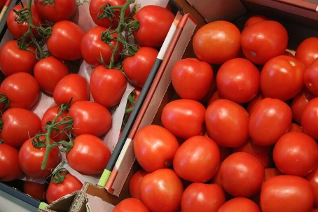 Le Maroc a décidé de renforcer son soutien aux exportations agricoles en mettant en place un nouveau mécanisme destiné à encourager la diversification des marchés pour les tomates fraîches. L’annonce a été officialisée à travers un arrêté publié au Bulletin officiel le 5 mars dernier.