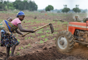 La mécanisation agricole promet modernisation et productivité, mais les femmes rurales, actrices majeures de l’agriculture familiale, restent confrontées à des conditions de travail peu adaptées aux machines. Les intégrer pleinement pourrait améliorer efficacité et rentabilité.