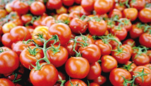 Pour encourager la transformation locale et soutenir l’industrie nationale, le gouvernement burkinabè suspend temporairement les exportations de tomates. L’annonce a été faite à Ouagadougou, le 16 mars 2026, dans un communiqué conjoint signé par le ministre de l’Industrie, du Commerce et de l’Artisanat, Serge GnaniodemPoda, et le ministre d’État chargé de l’Agriculture, de l’Eau et des Ressources animales et halieutiques, le commandant Ismaël Sombié.