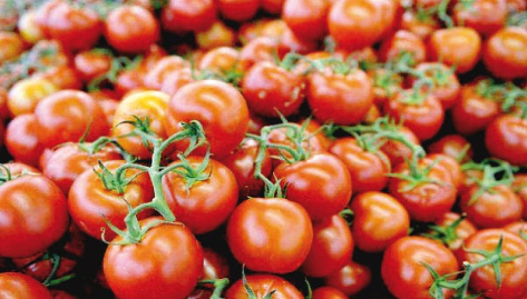 Pour encourager la transformation locale et soutenir l’industrie nationale, le gouvernement burkinabè suspend temporairement les exportations de tomates. L’annonce a été faite à Ouagadougou, le 16 mars 2026, dans un communiqué conjoint signé par le ministre de l’Industrie, du Commerce et de l’Artisanat, Serge GnaniodemPoda, et le ministre d’État chargé de l’Agriculture, de l’Eau et des Ressources animales et halieutiques, le commandant Ismaël Sombié.