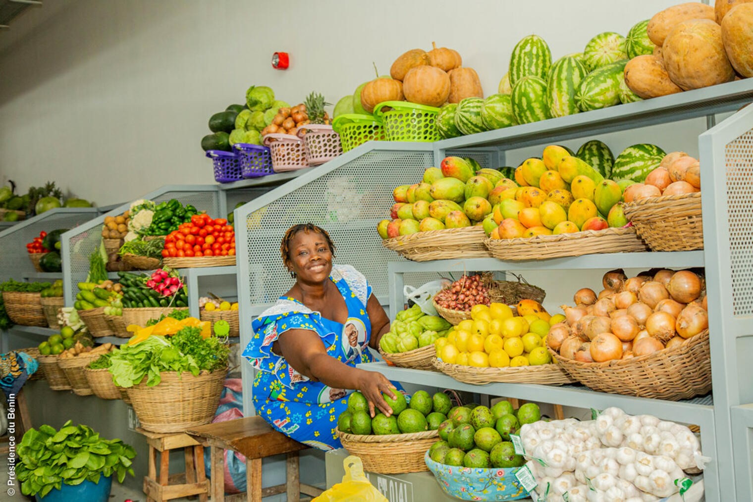 Sur 60 pays analysés, seuls l'Algérie, l'Afrique du Sud et l'Égypte tirent leur épingle du jeu en matière de résilience des systèmes alimentaires en Afrique.
