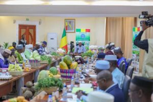 Le Mali fixe ses objectifs pour la campagne agricole 2026 : 11,92 millions de tonnes de céréales visées malgré l'insécurité